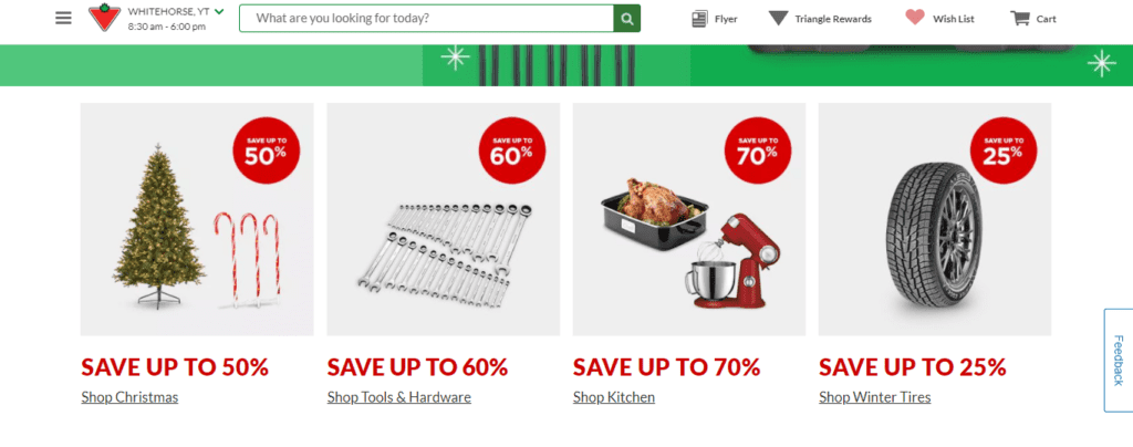 Small Website Businesses from Canada in 2023 - eCommerce (Canadian Tire) - SmallBusinessWeb