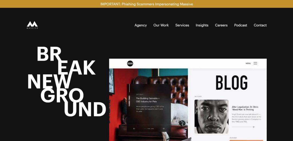 The Importance of a Professional Website for Consultancy Firms (Massive Media) - Small Business Web
